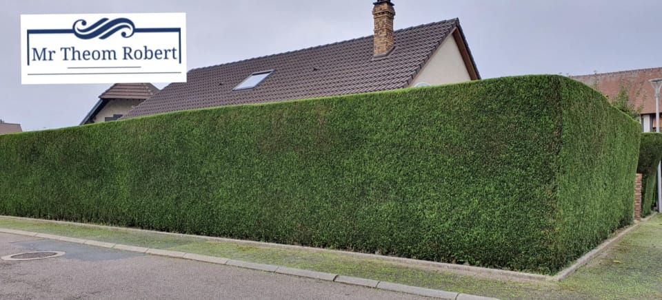 Taille de Haies - Photo 2