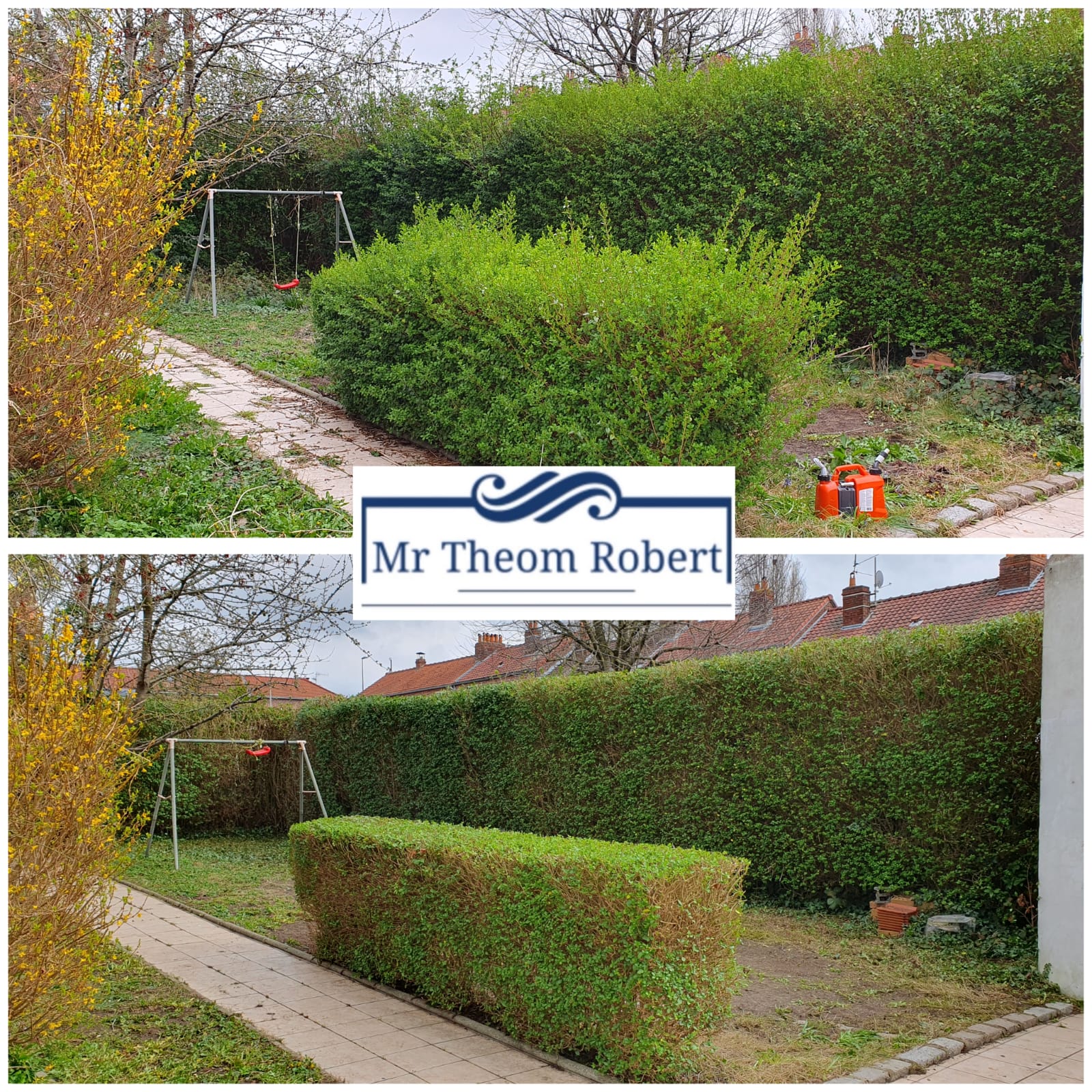 Taille de Haies - Photo 6