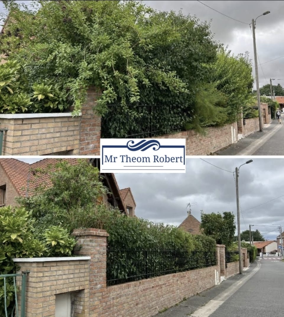 Taille de Haies - Photo 7