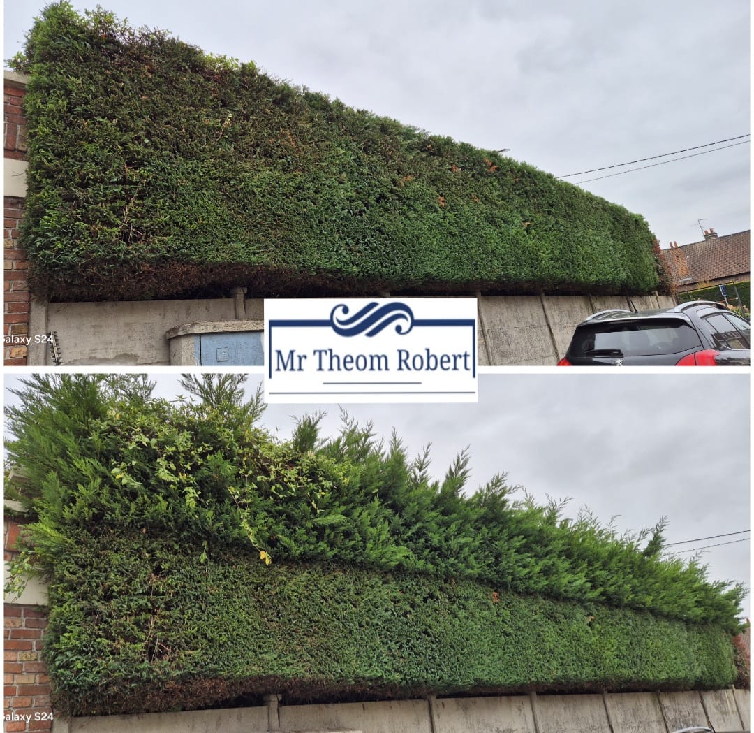 Taille de Haies - Photo 4