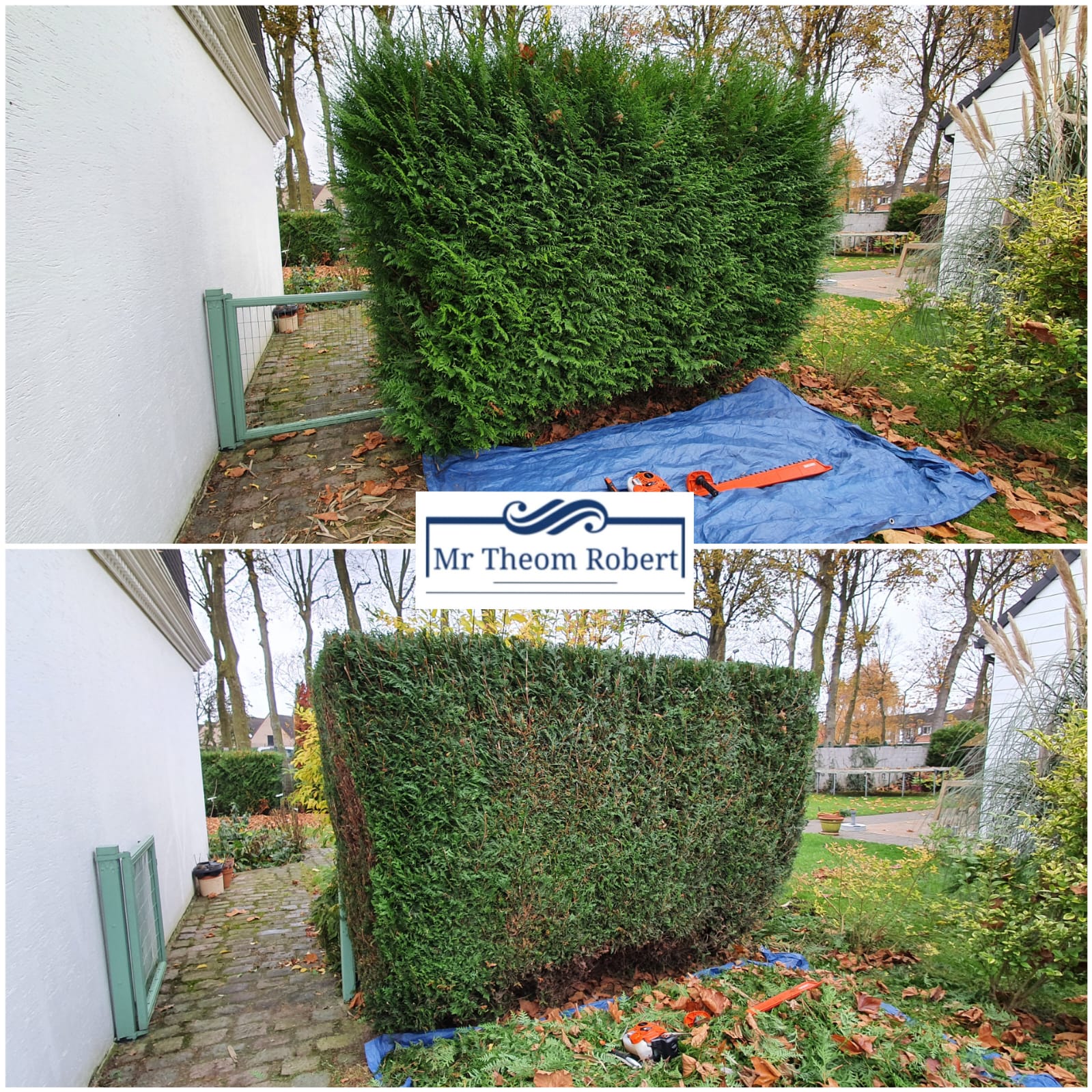 Taille de Haies - Photo 5