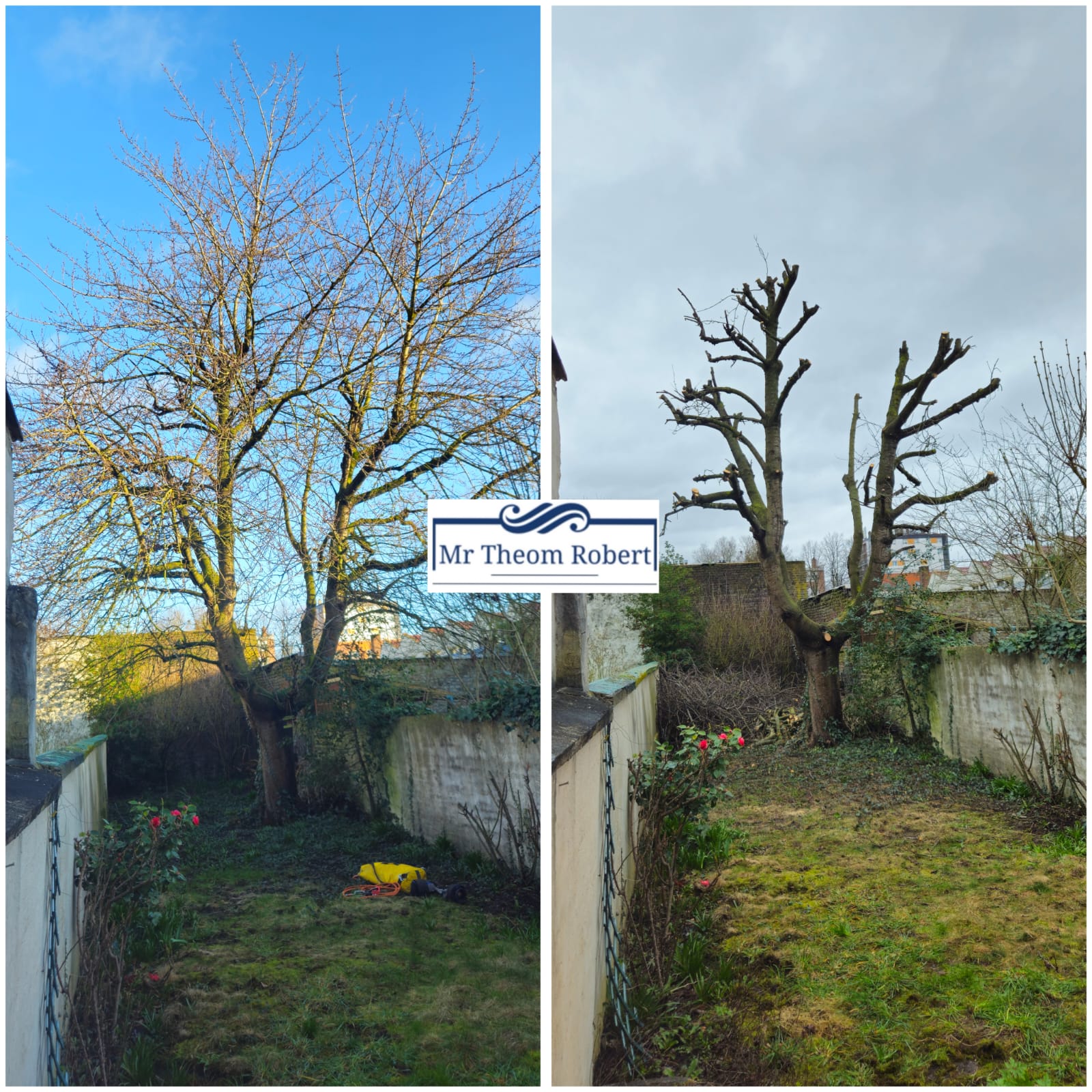 Elagage d'arbres - Photo 6